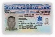 Drivers license number meaning
